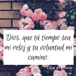 Meet your Posher, Marcial